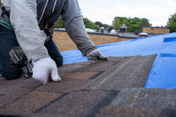 Best Chimney Flashing Repair  in Indian Hills, KY